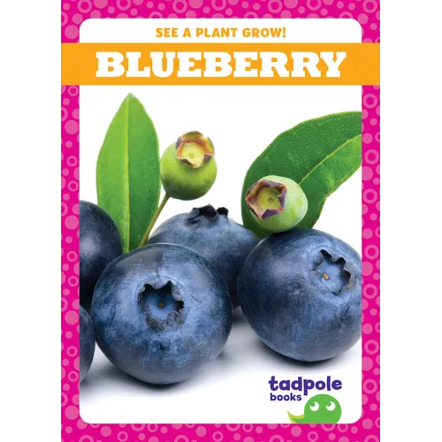 Blueberry
