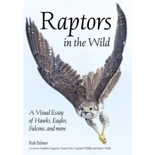Raptors in the Wild: A Visual Essay of Hawks, Eagles, Falcons and More