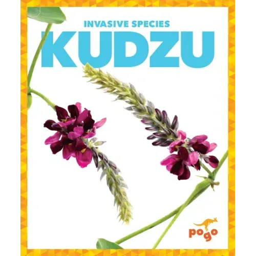 Kudzu