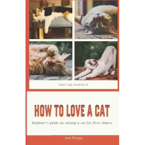 How to Love a Cat: Beginner's Guide on Raising a Cat for First Timers