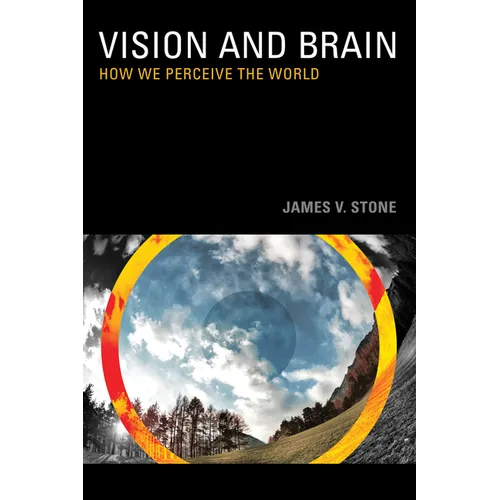 Vision: How We Perceive the World