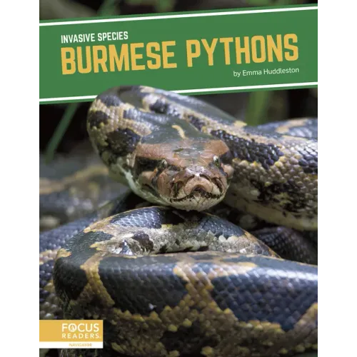 Burmese Pythons