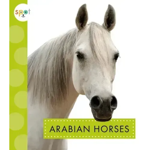 Arabian Horses