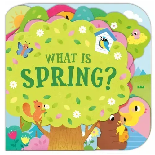What Is Spring?