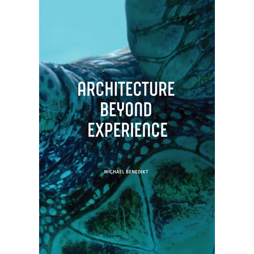 Architecture Beyond Experience