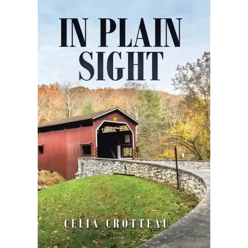 In Plain Sight