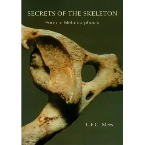 Secrets of the Skeleton: Form in Metamorphosis