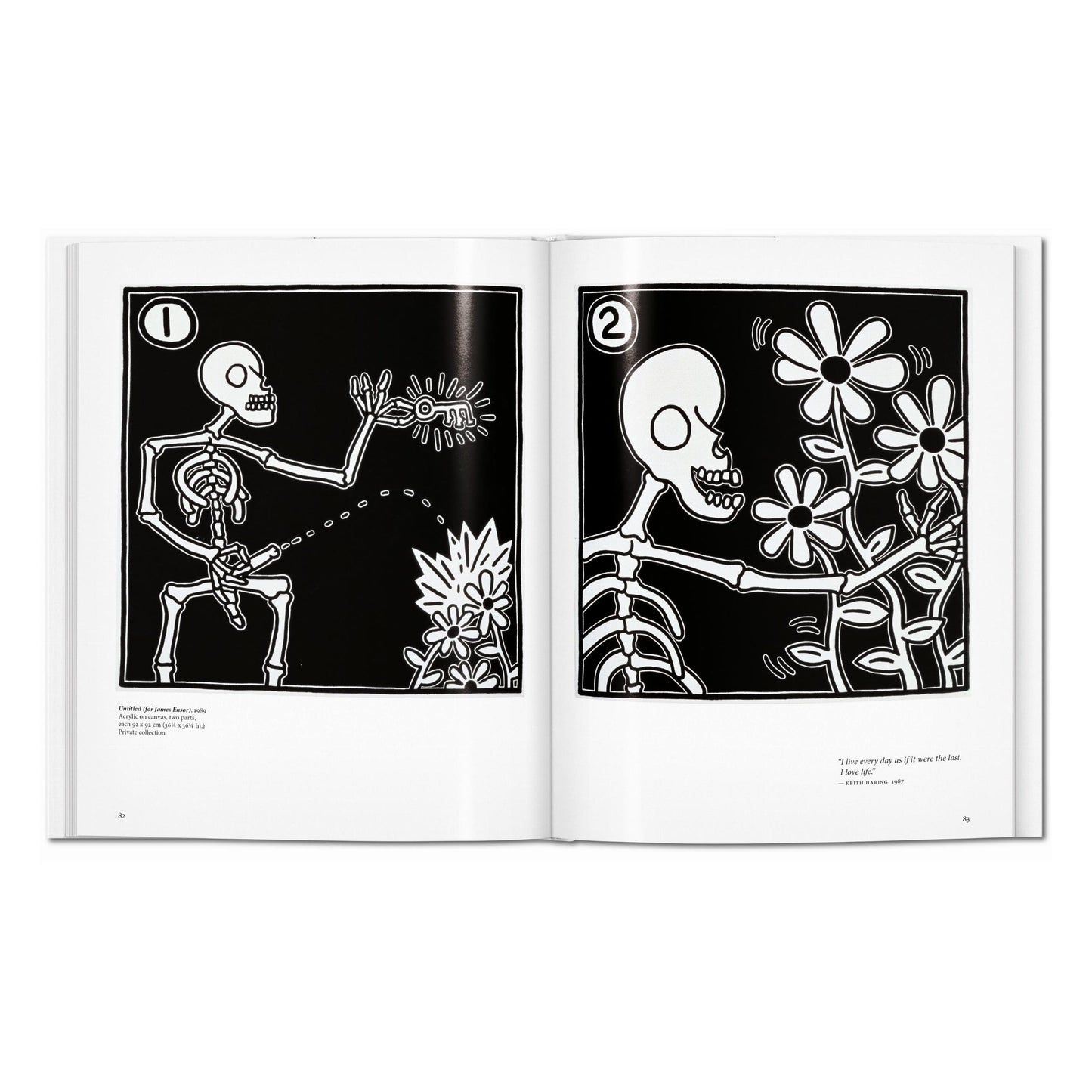 Haring (English) Book