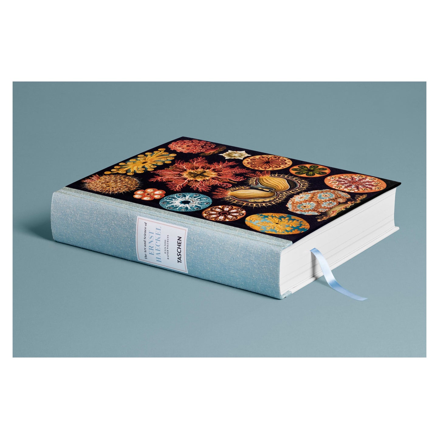 The Art and Science of Ernst Haeckel (German, French, English) Book