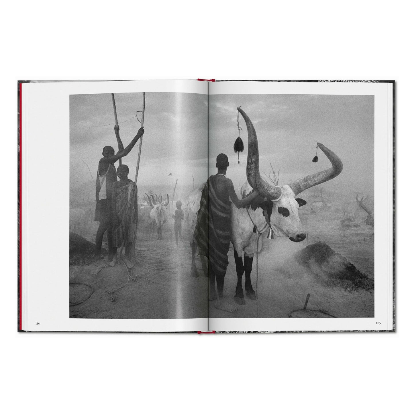 Sebastião Salgado. Genesis (English) Book