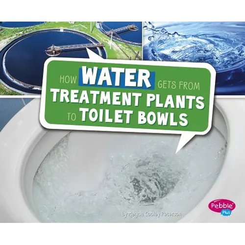 How Water Gets from Treatment Plants to Toilet Bowls