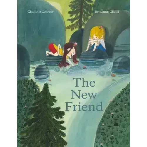 The New Friend: A Picture Book