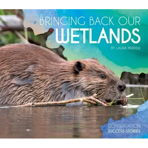Bringing Back Our Wetlands