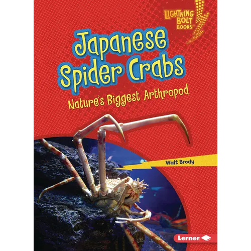 Japanese Spider Crabs: Nature's Biggest Arthropod