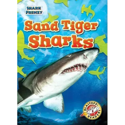 Sand Tiger Sharks