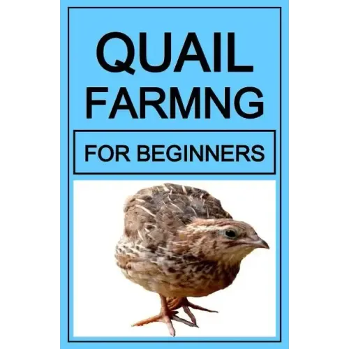 Quail Farming For Beginners