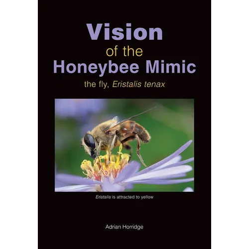 Vision of the Honeybee Mimic
