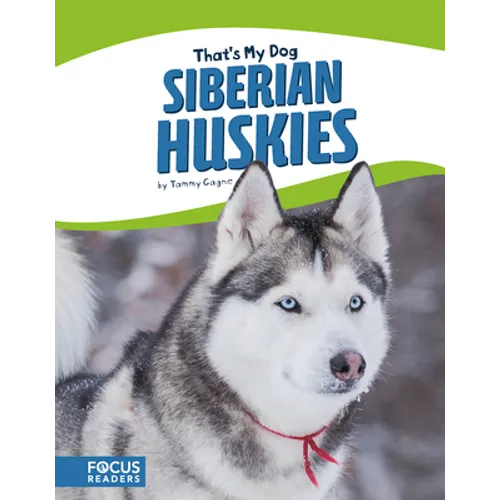 Siberian Huskies