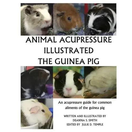 Animal Acupressure Illustration The Guinea Pig