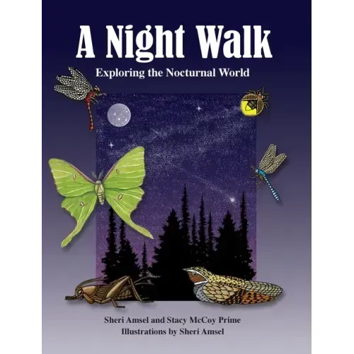 A Night Walk: Exploring the Nocturnal World