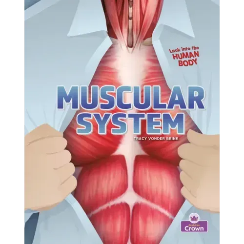 Muscular System