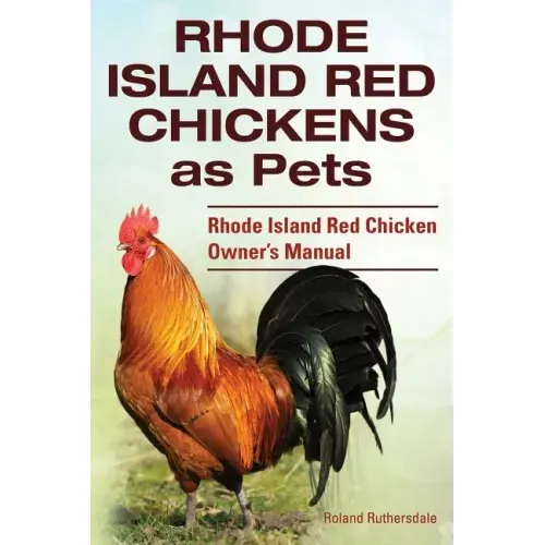 Rhode Island Red Chickens as Pets. Rhode Island Red Chicken Owner's Manual
