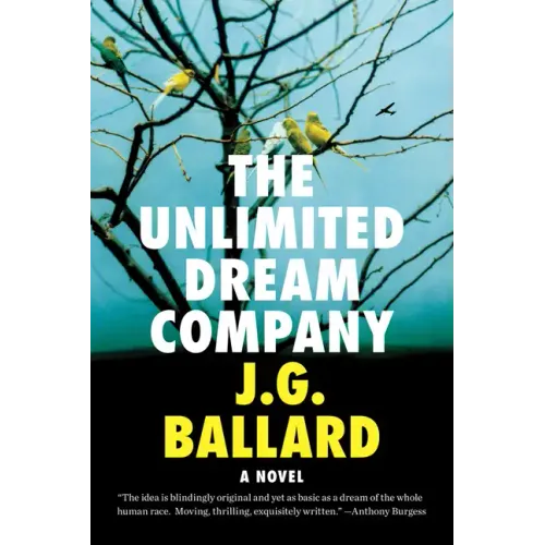 The Unlimited Dream Company