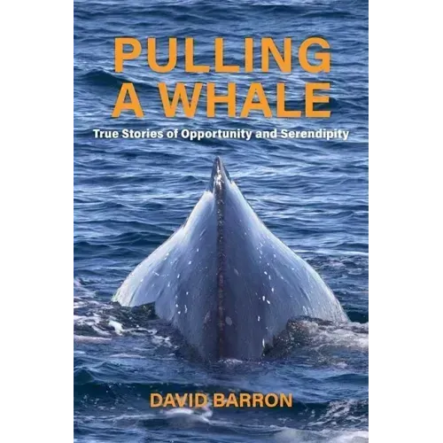 Pulling a Whale: True Stories of Opportunity and Serendipity