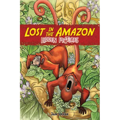Lost in the Amazon Hidden Pictures