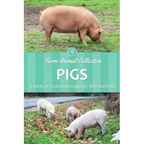 Pigs