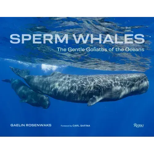 Sperm Whales: The Gentle Goliaths of the Ocean