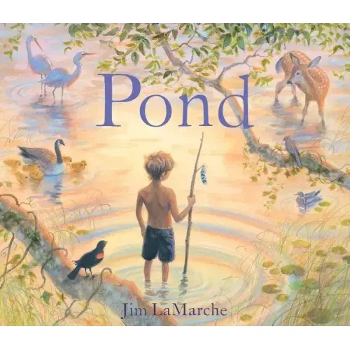 Pond