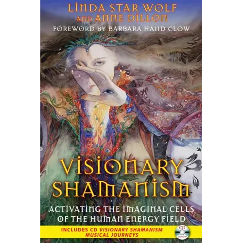 Visionary Shamanism: Activating the Imaginal Cells of the Human Energy Field