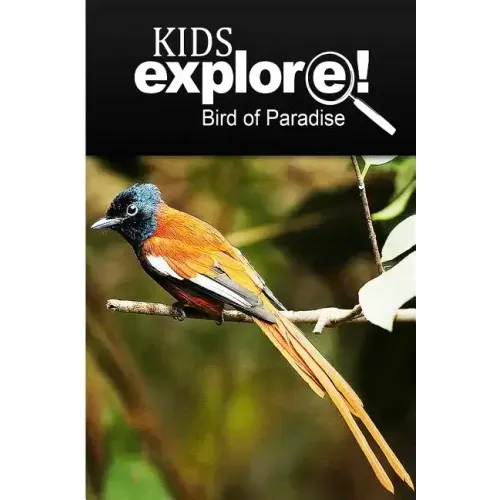 Birds Of Paradise - Kids Explore: Animal books nonfiction - books ages 5-6