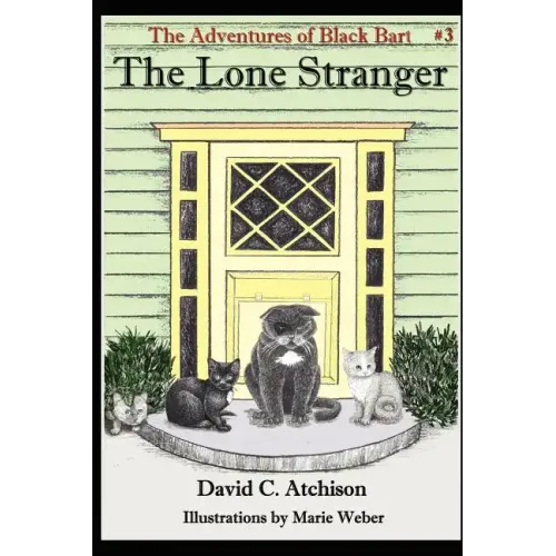 The Adventures of Black Bart: The Lone Stranger