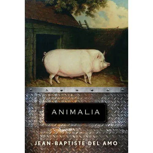 Animalia