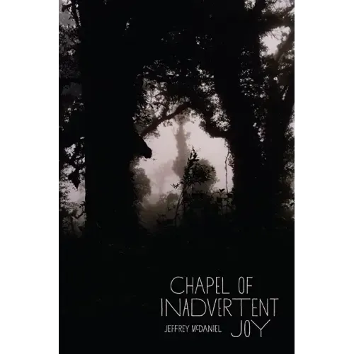 Chapel of Inadvertent Joy