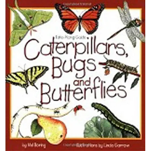 Caterpillars, Bugs and Butterflies
