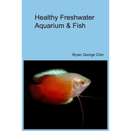 Healthy Freshwater Aquarium & Fish
