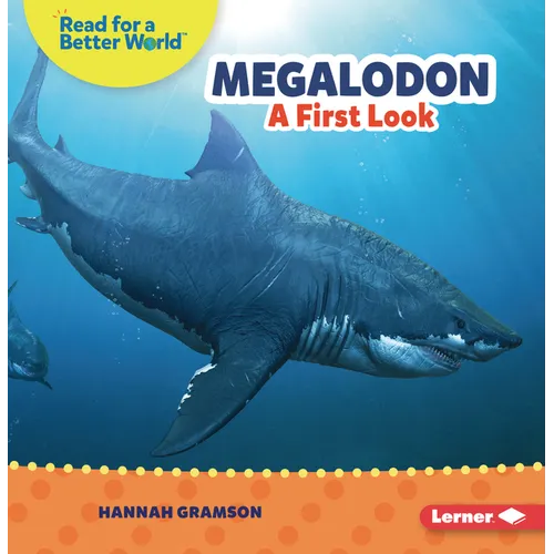 Megalodon: A First Look