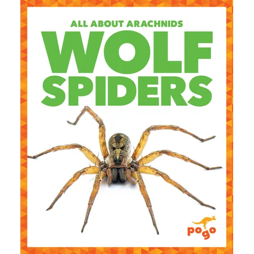 Wolf Spiders