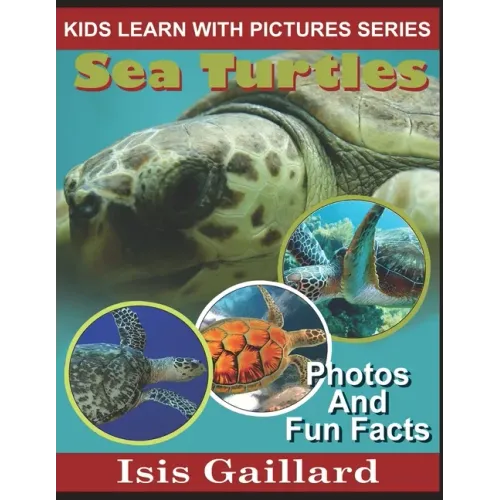 Sea Turtles: Photos and Fun Facts for Kids