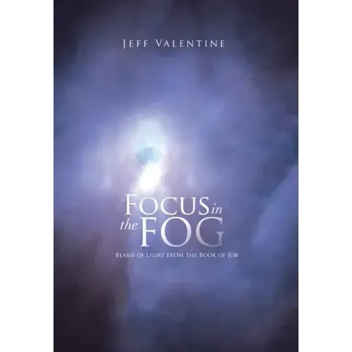 Focus in the Fog: Beams of Light from the Book of Job