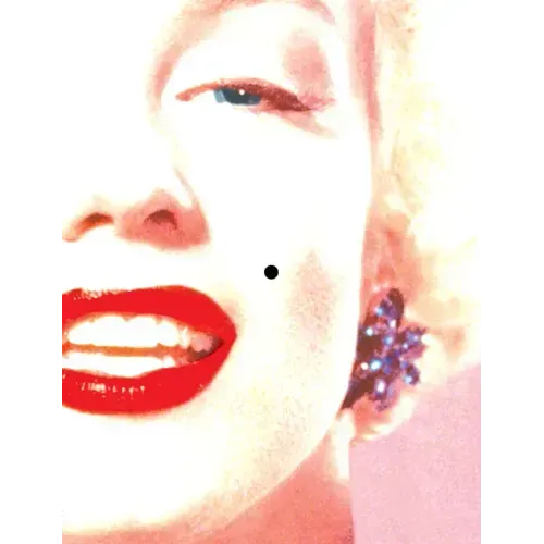 Beauty Mark: A Verse Novel of Marilyn Monroe