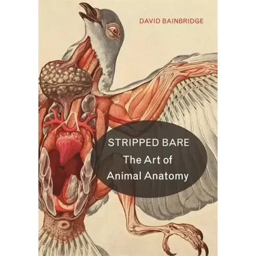 Stripped Bare: The Art of Animal Anatomy