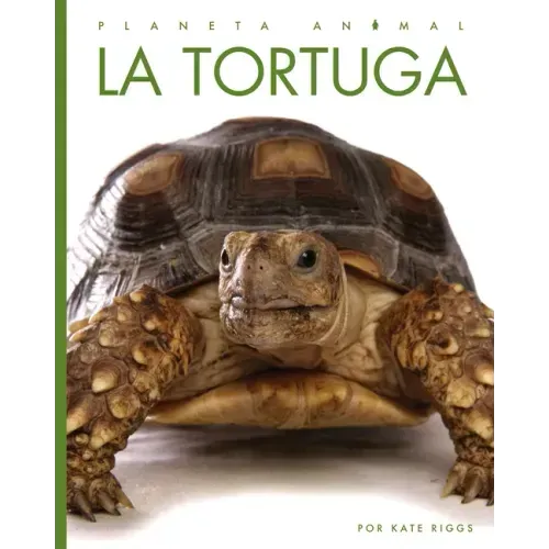 La Tortuga