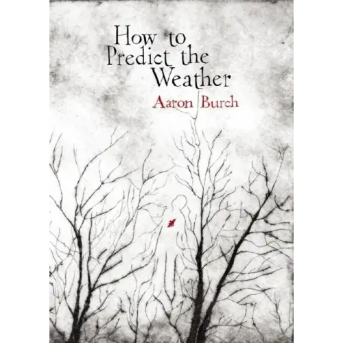 How to Predict the Weather