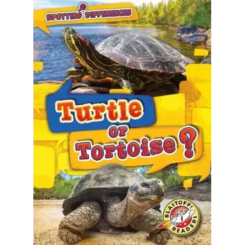 Turtle or Tortoise?