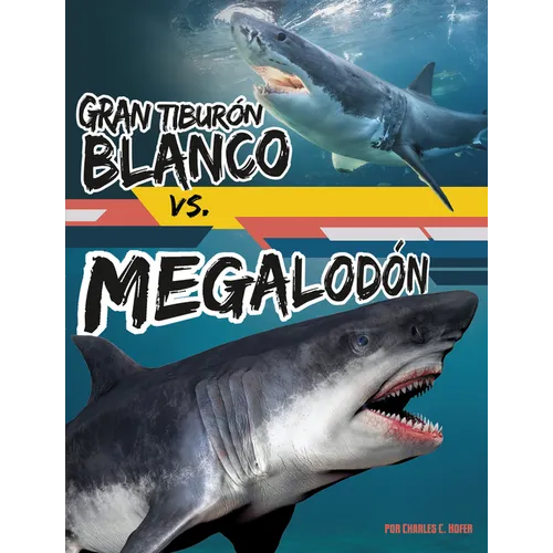 Gran Tiburón Blanco vs. Megalodón (Great White Shark vs. Megalodon)
