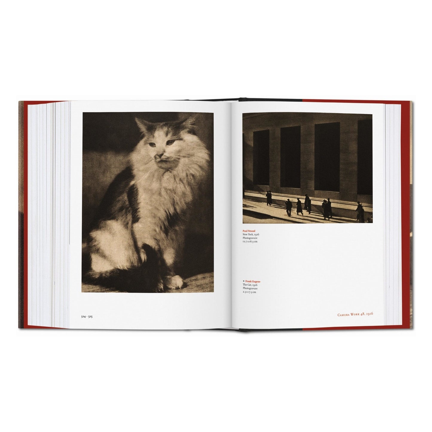 Alfred Stieglitz. Camera Work (German, French, English) Book